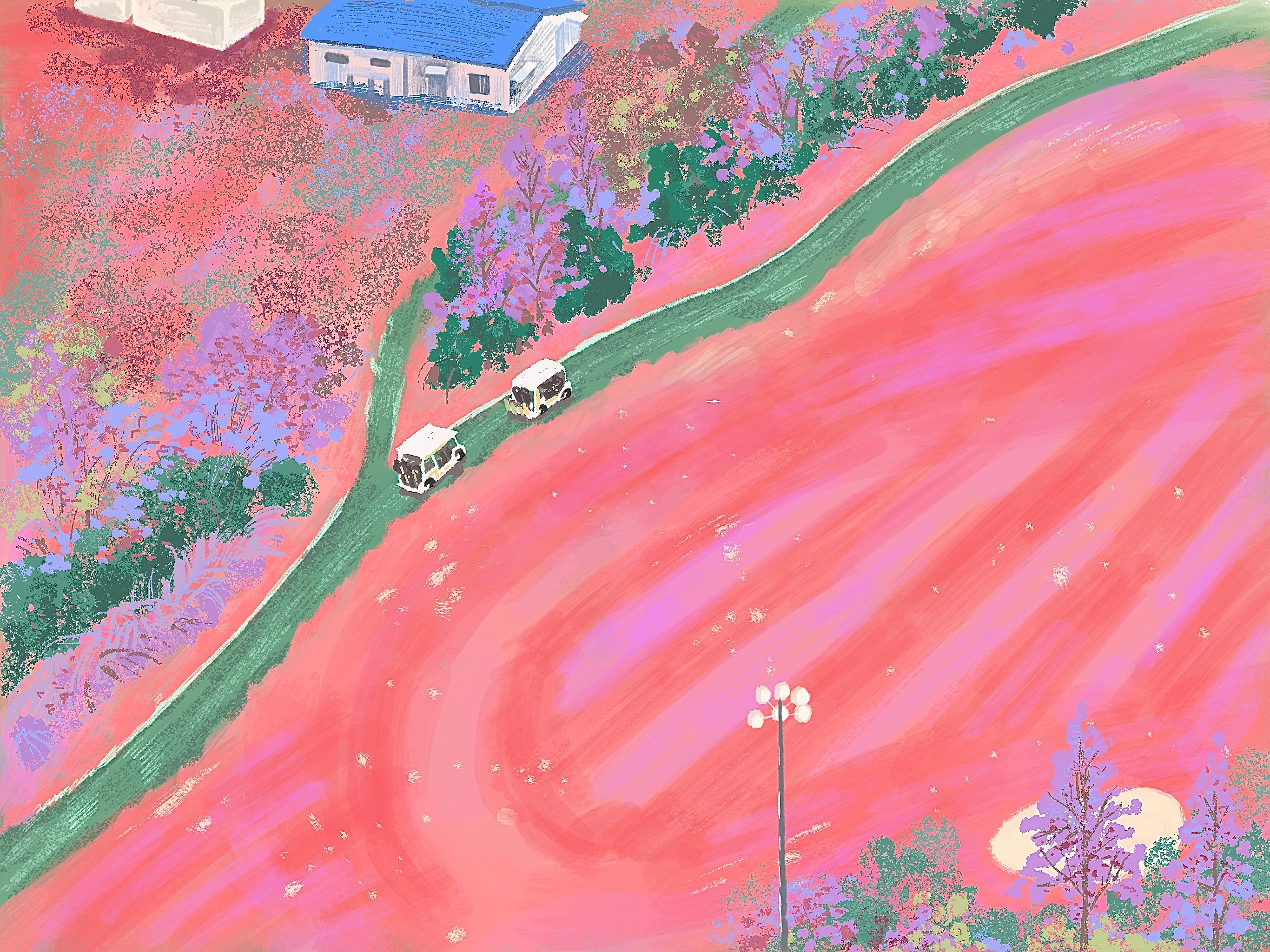 Pink fairway