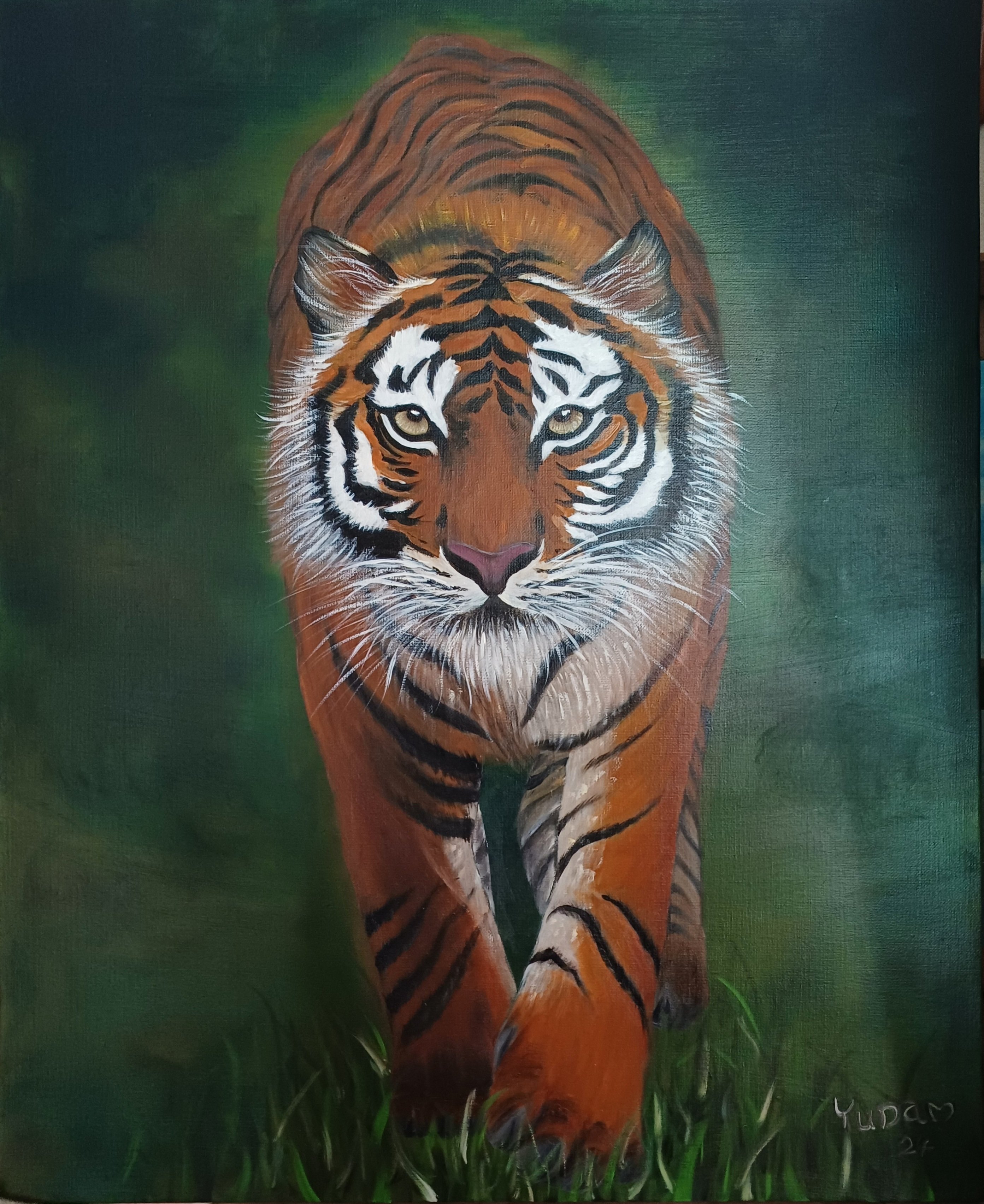 Tiger 호랑이