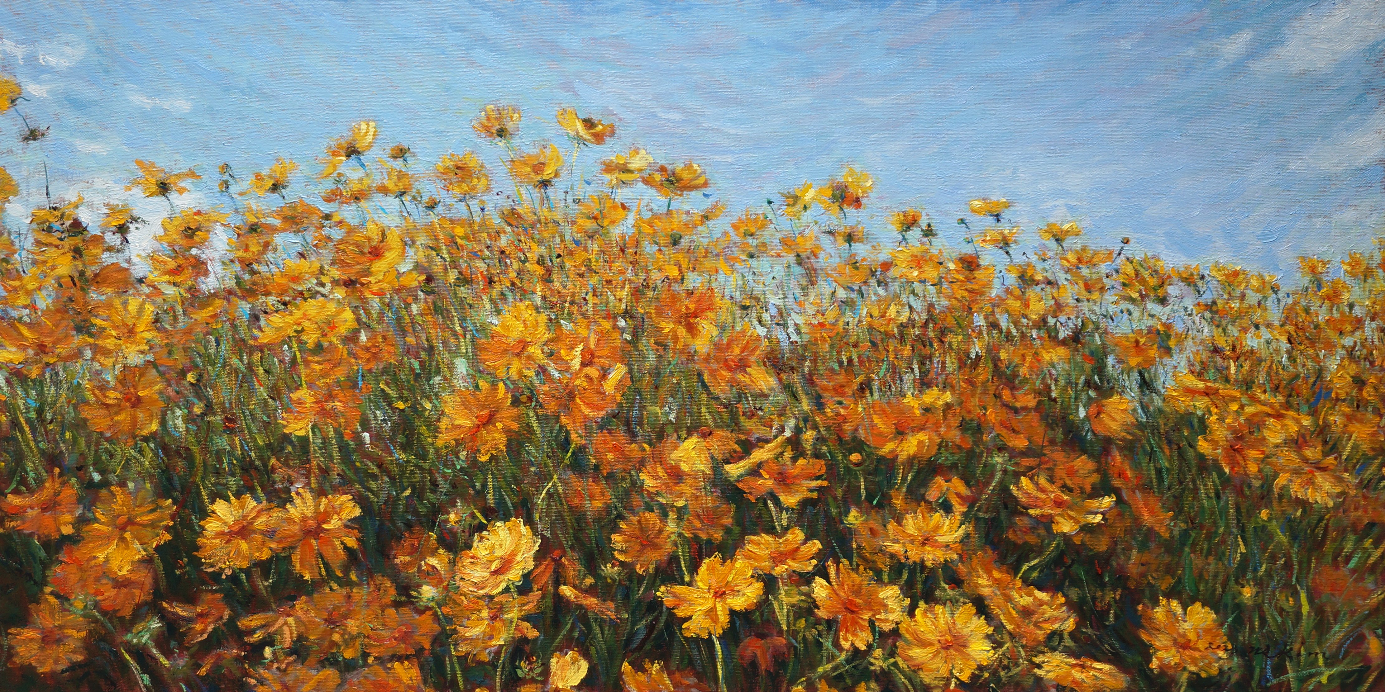 노란 꽃의 향연: a field of yellow flowers -