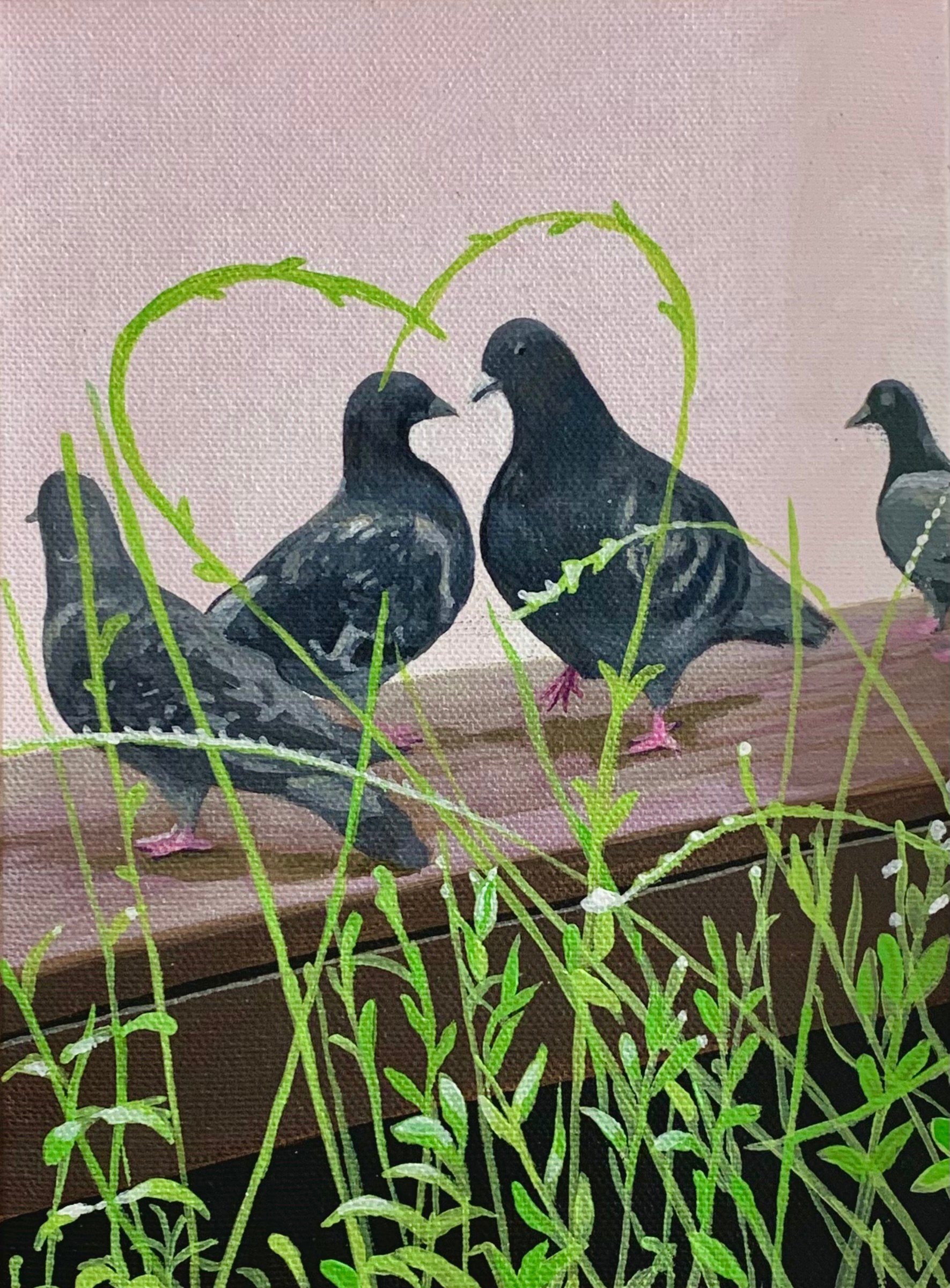 Dove, Love
