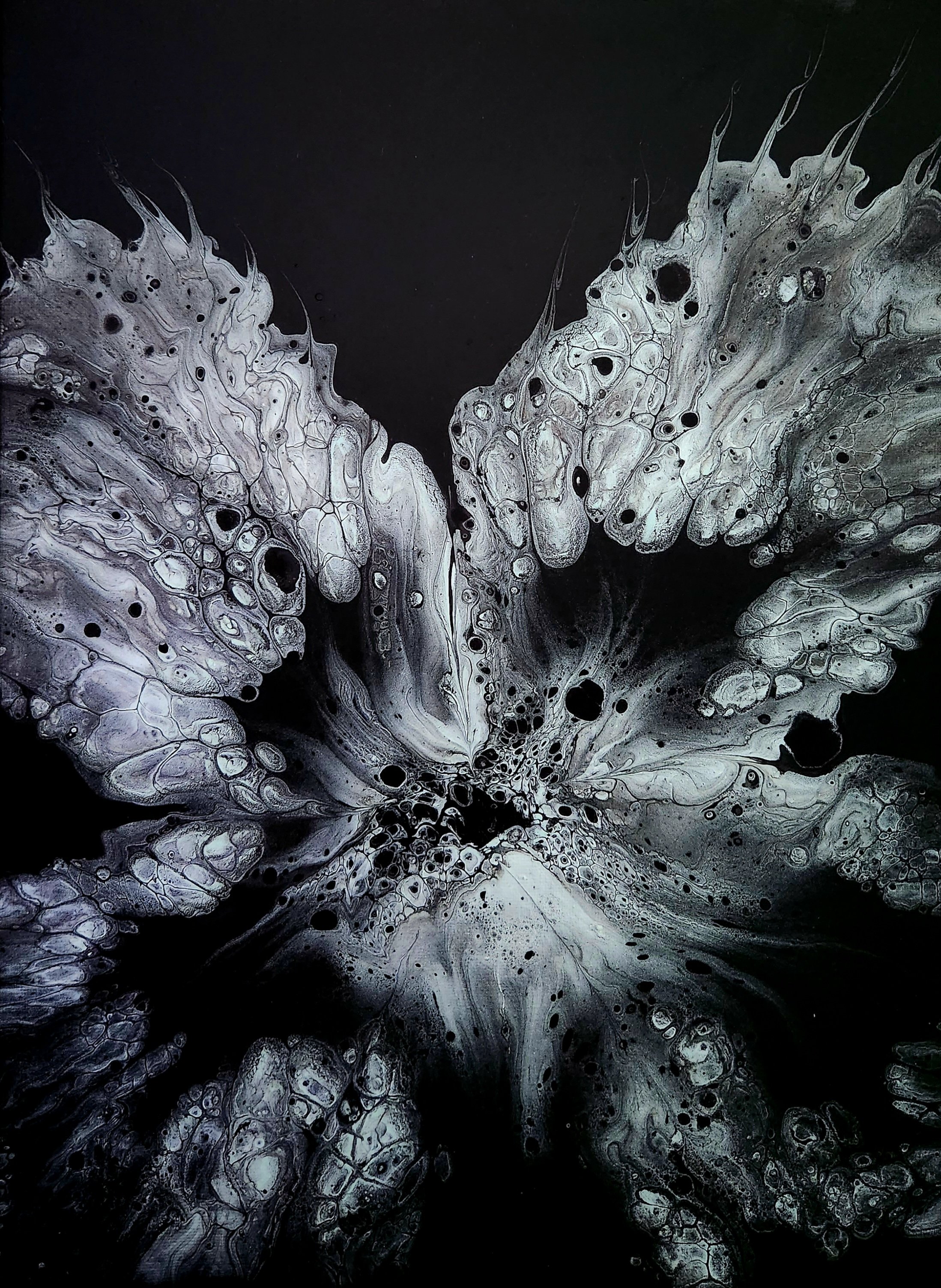 Flower Series,  Black