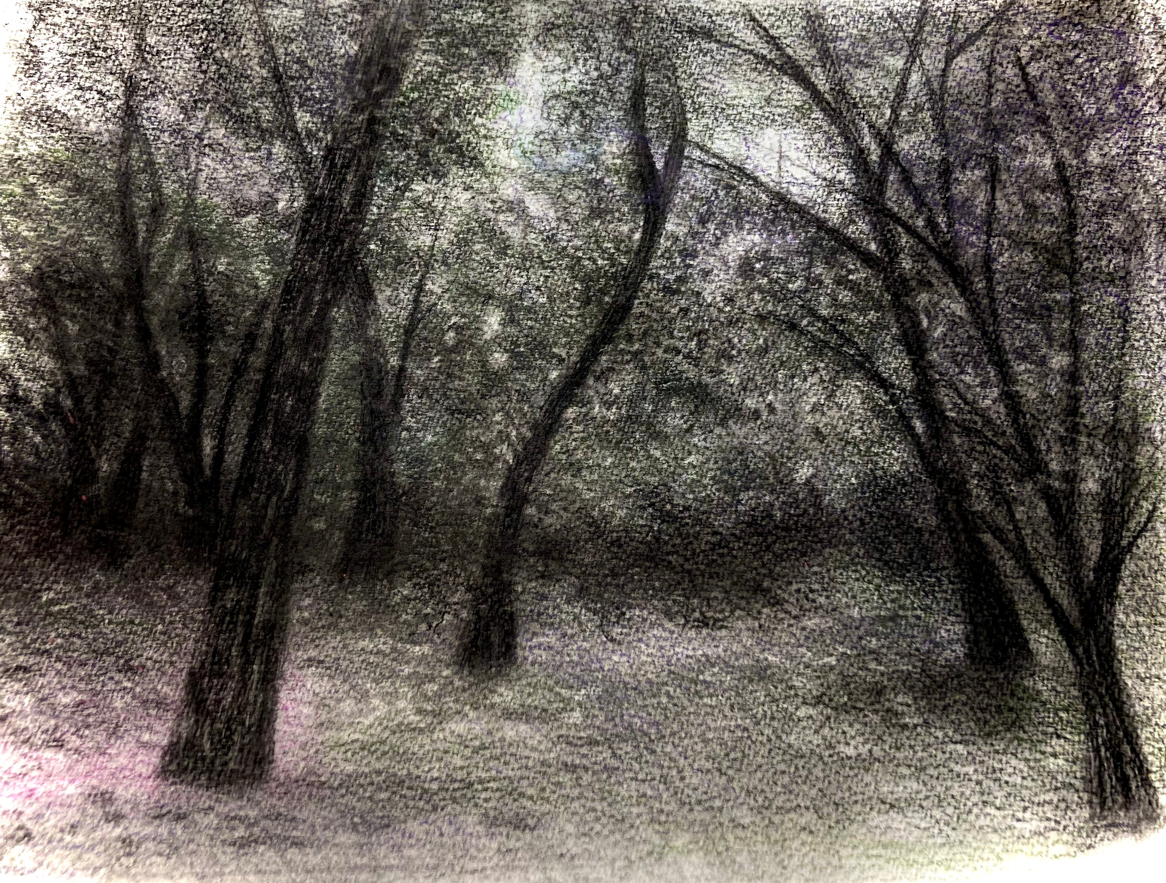 The Scent of the forest